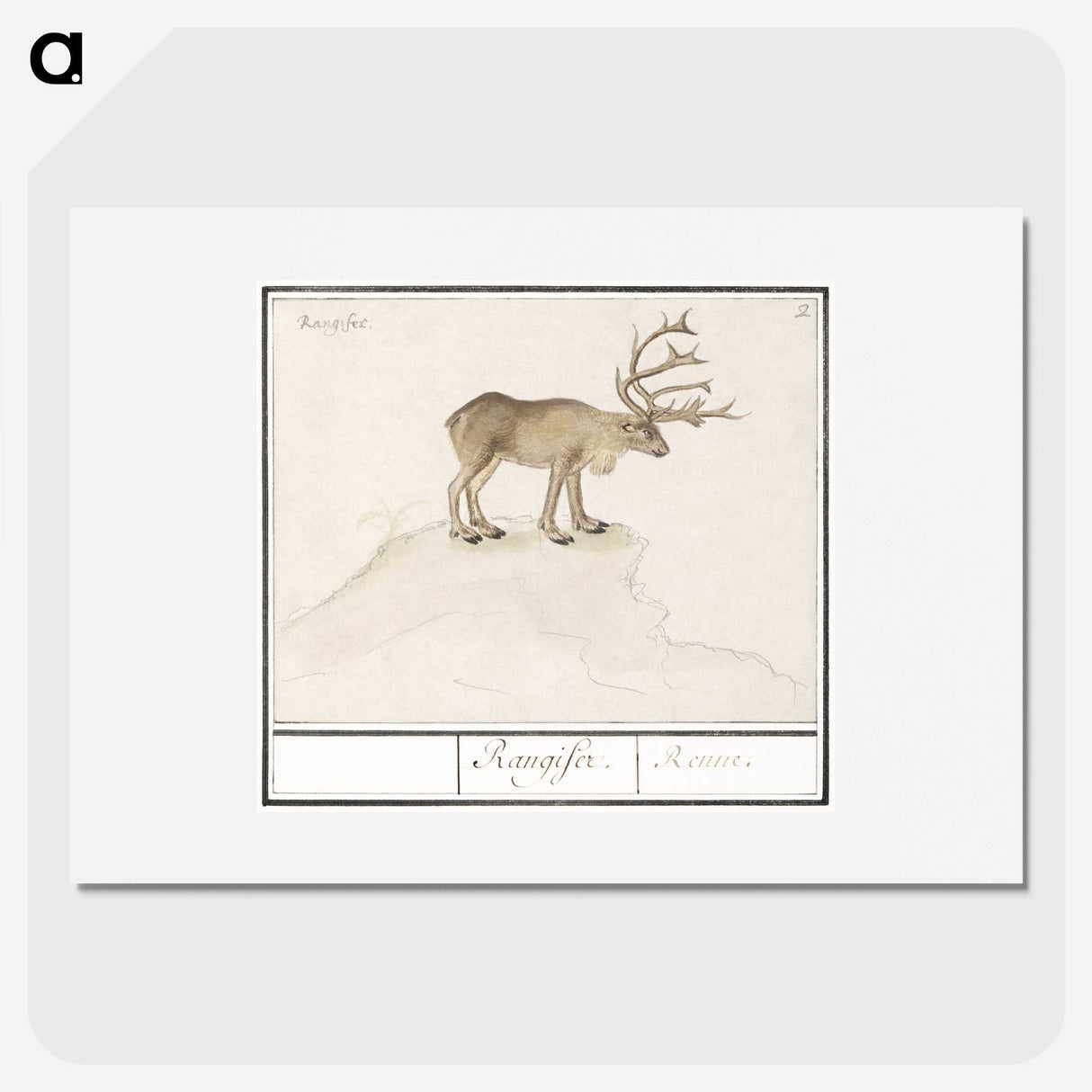 2-91_Anselmus-Boetius-de-Boodt_picture