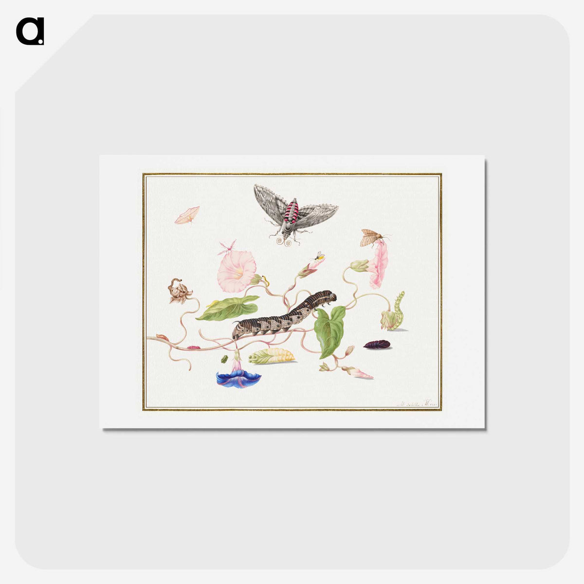 2-91_Cleveland-Museum-of-Art_hagaki
