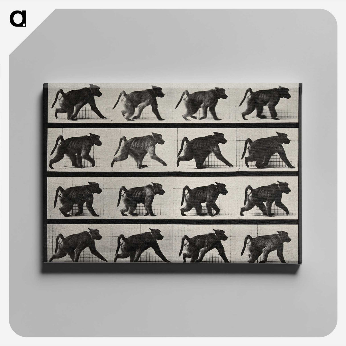 2-91_Eadweard-Muybridge_canvas