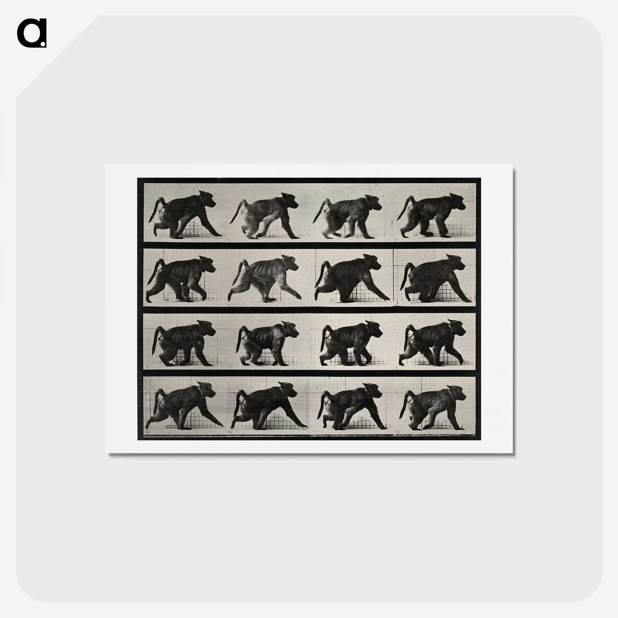 2-91_Eadweard-Muybridge_hagaki