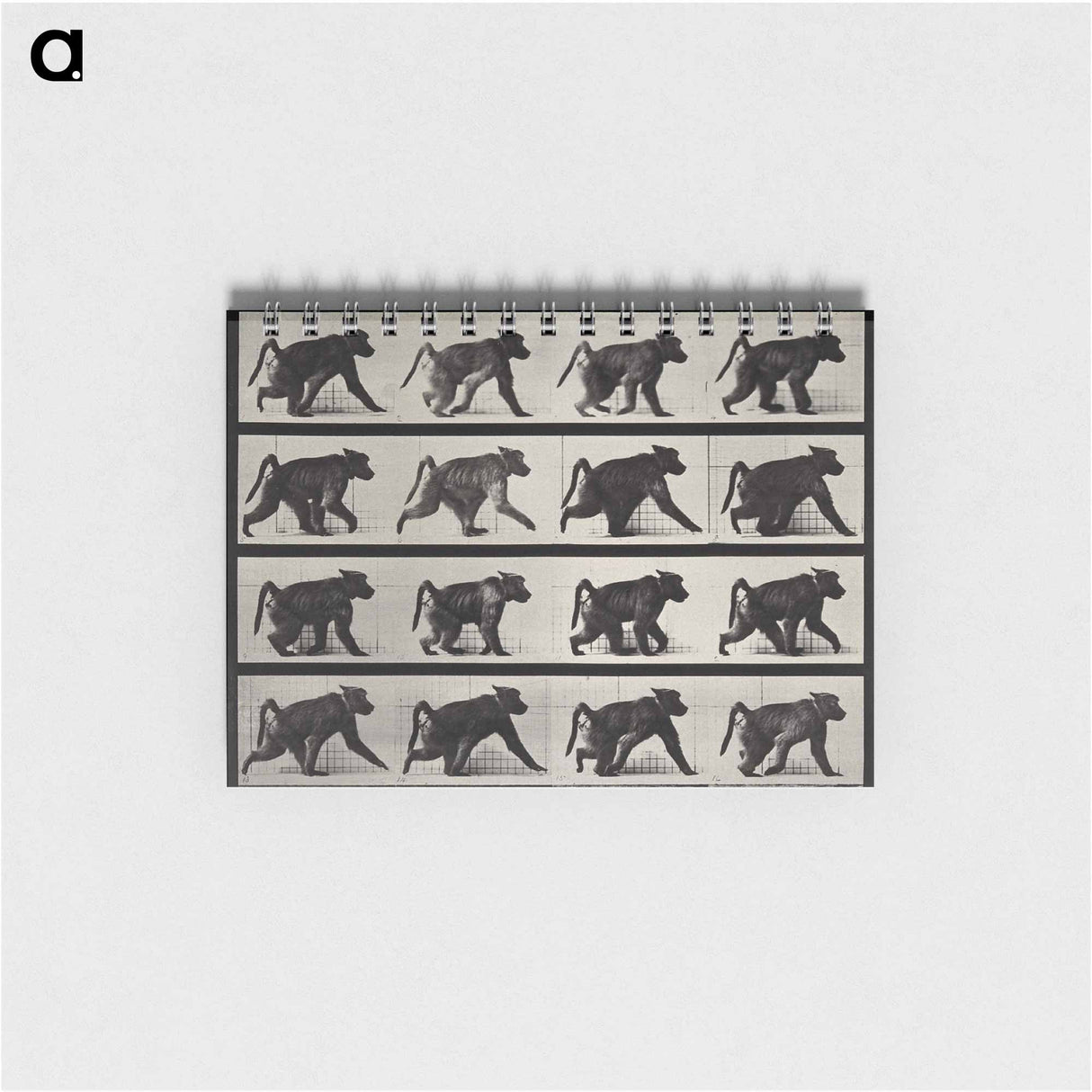 アートメモ帳-Walking Monkey
- エドワード マイブリッジ Memo.