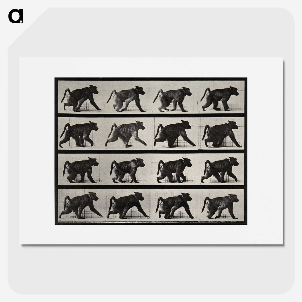 2-91_Eadweard-Muybridge_picture