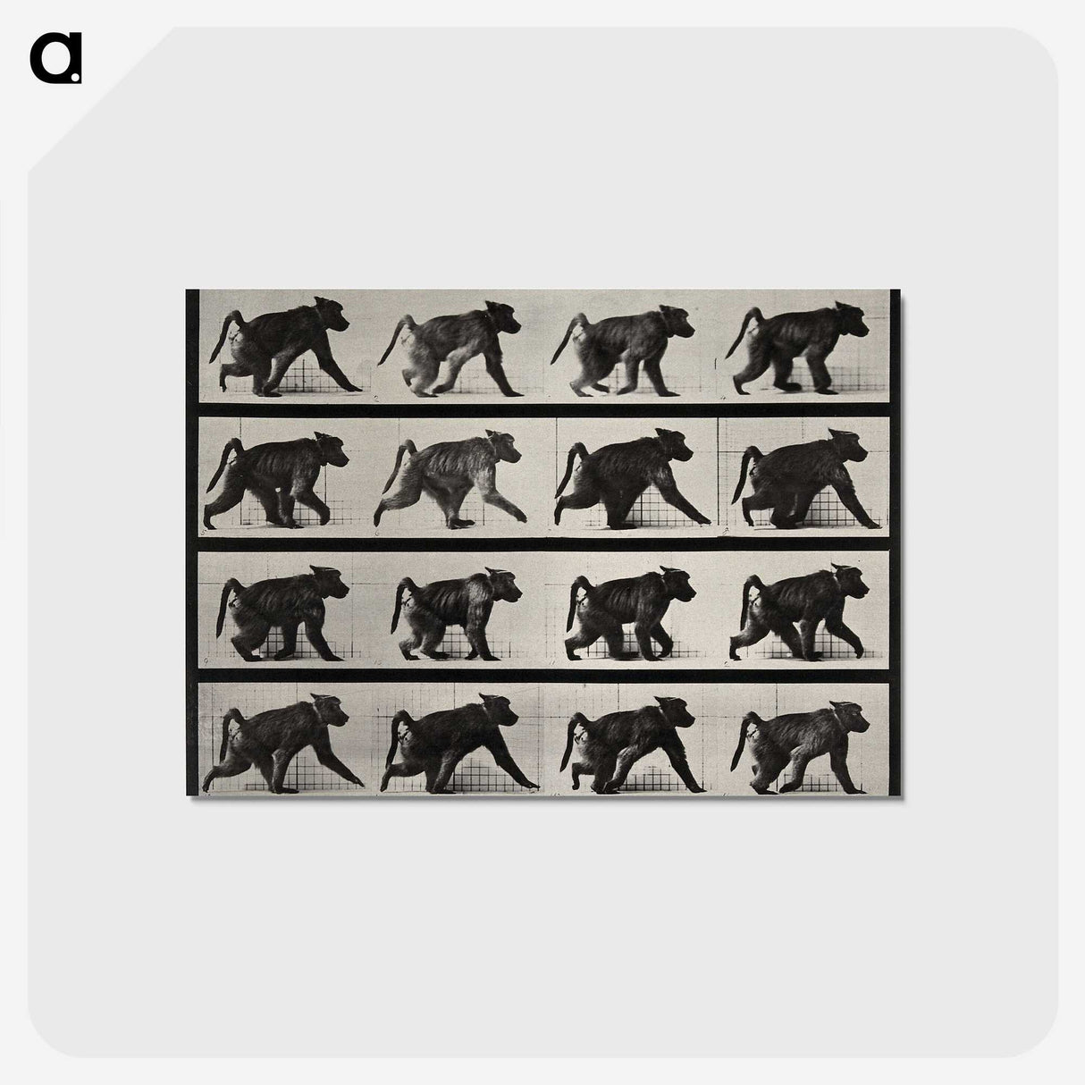 2-91_Eadweard-Muybridge_postcard