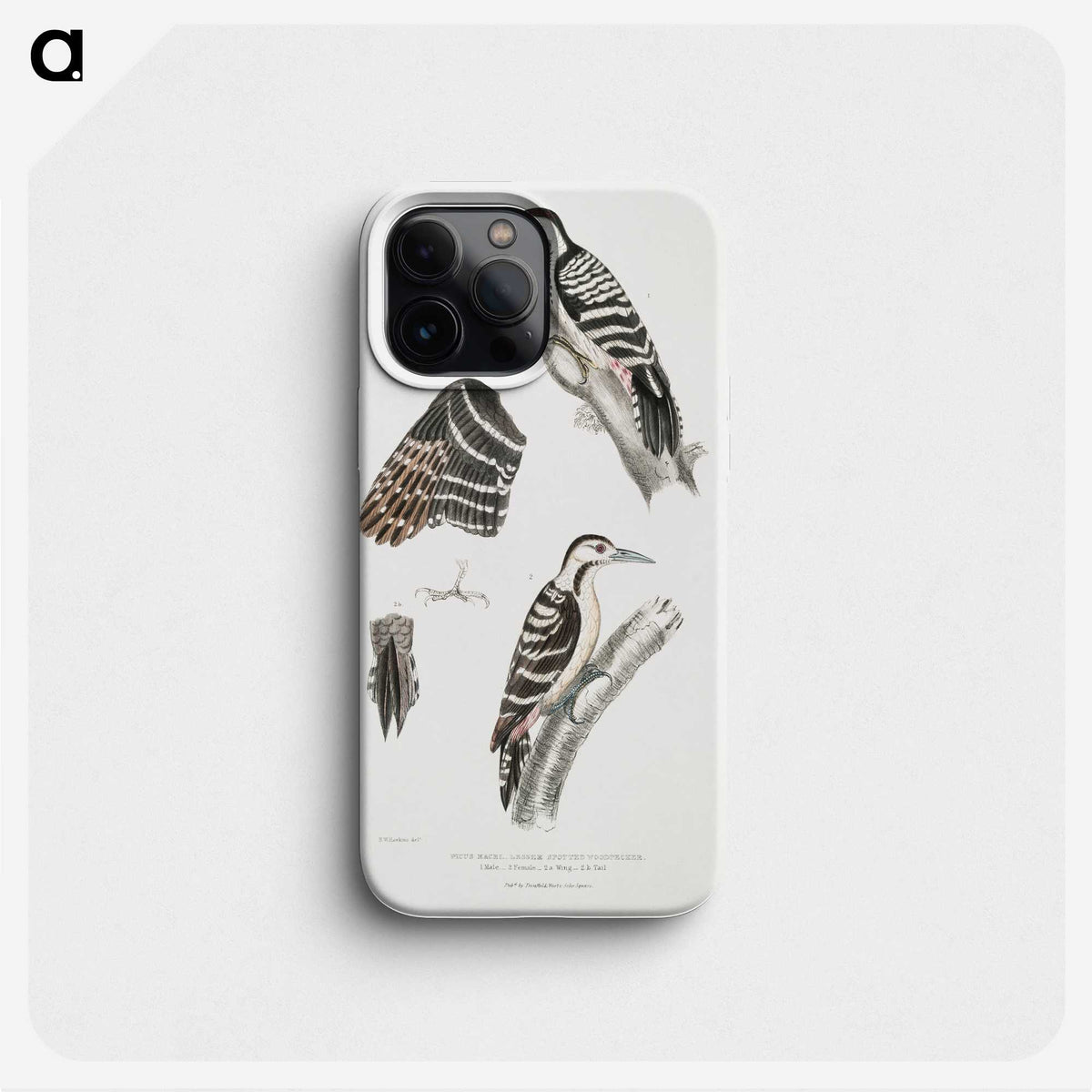 2-91_Indian-Zoology_phone