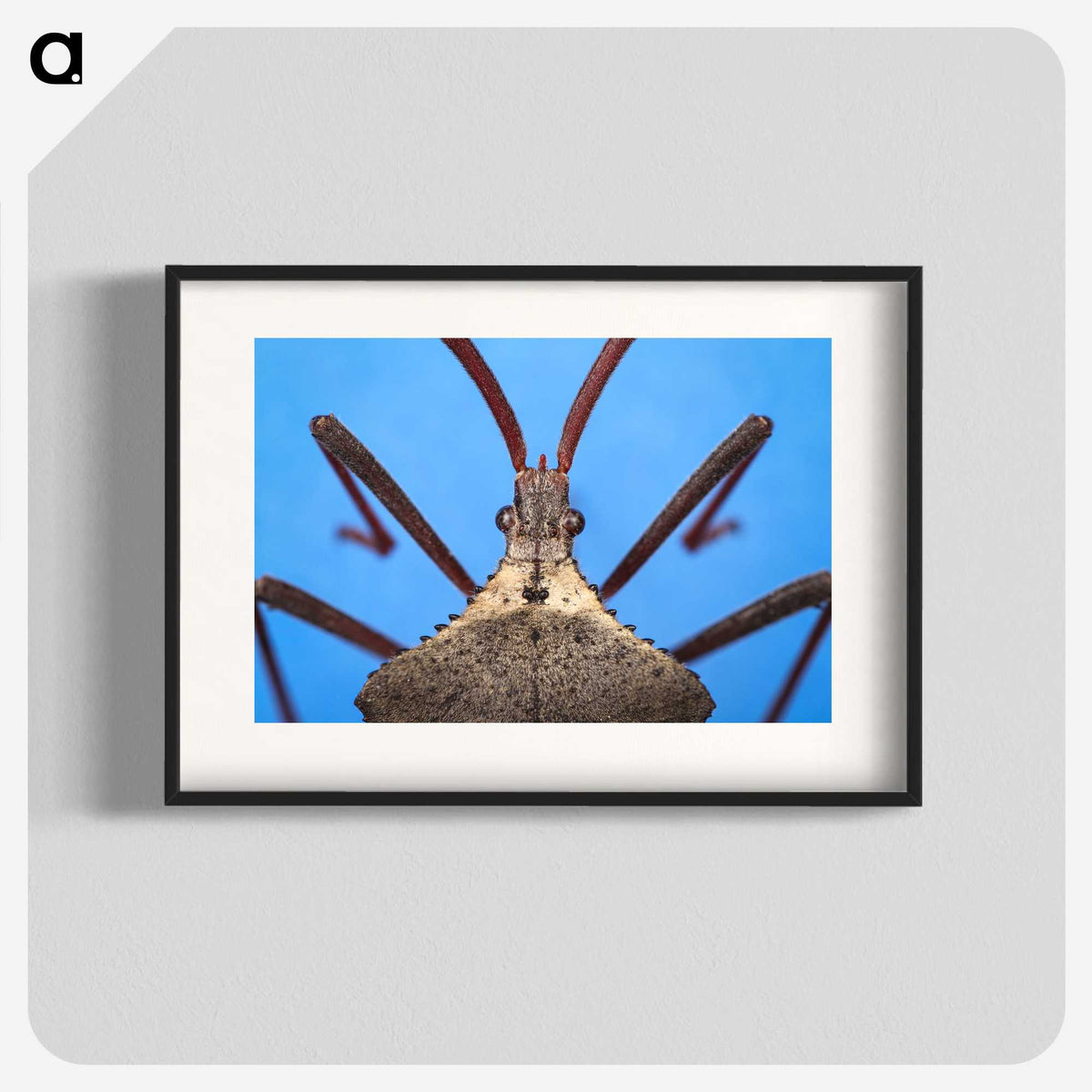 2-91_Insects-Unlocked-Project_blk