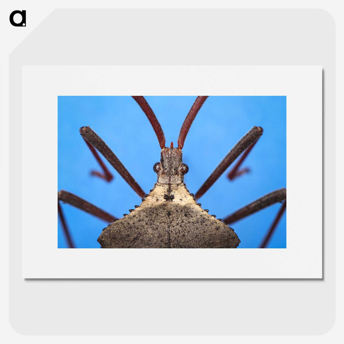 2-91_Insects-Unlocked-Project_picture