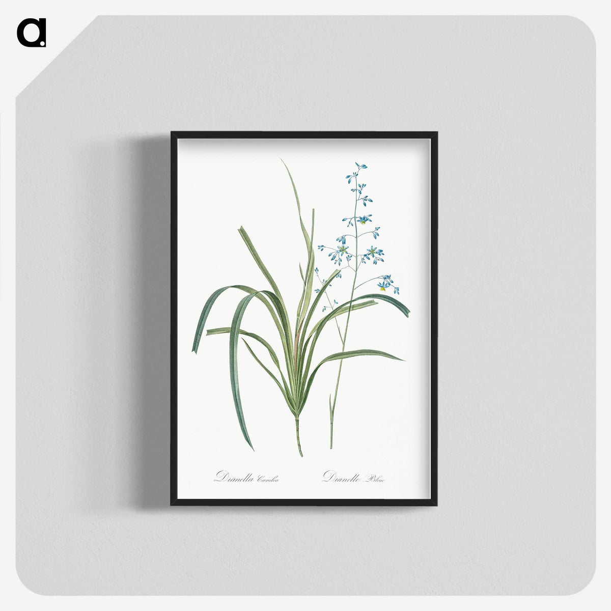 2-91_The-Lilies_blk-crop