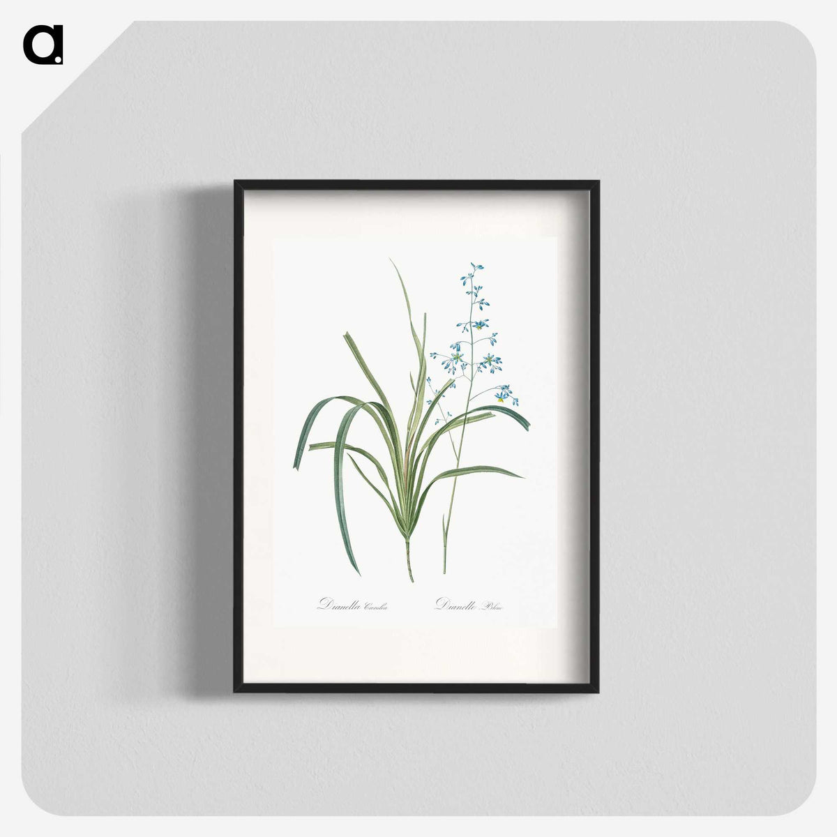 2-91_The-Lilies_blk