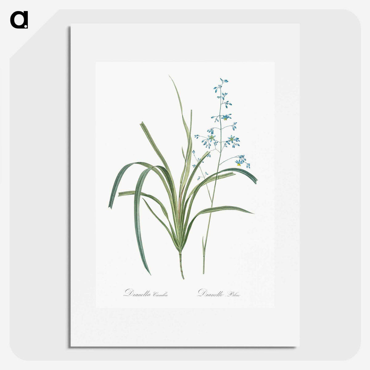 2-91_The-Lilies_picture