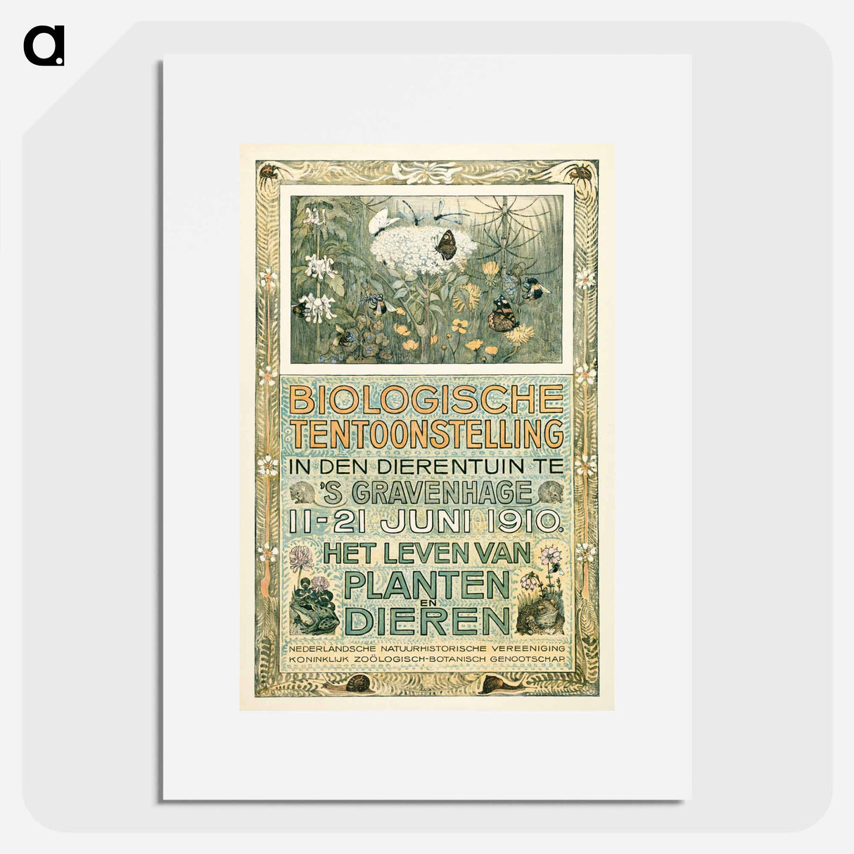 Biologische Tentoonstelling - Theo van Hoytema Poster.