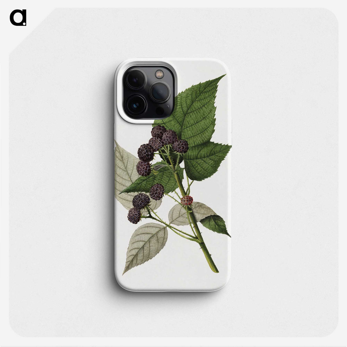 2-91_USDA-Watercolor-Fruit-Painting-Collection_phone
