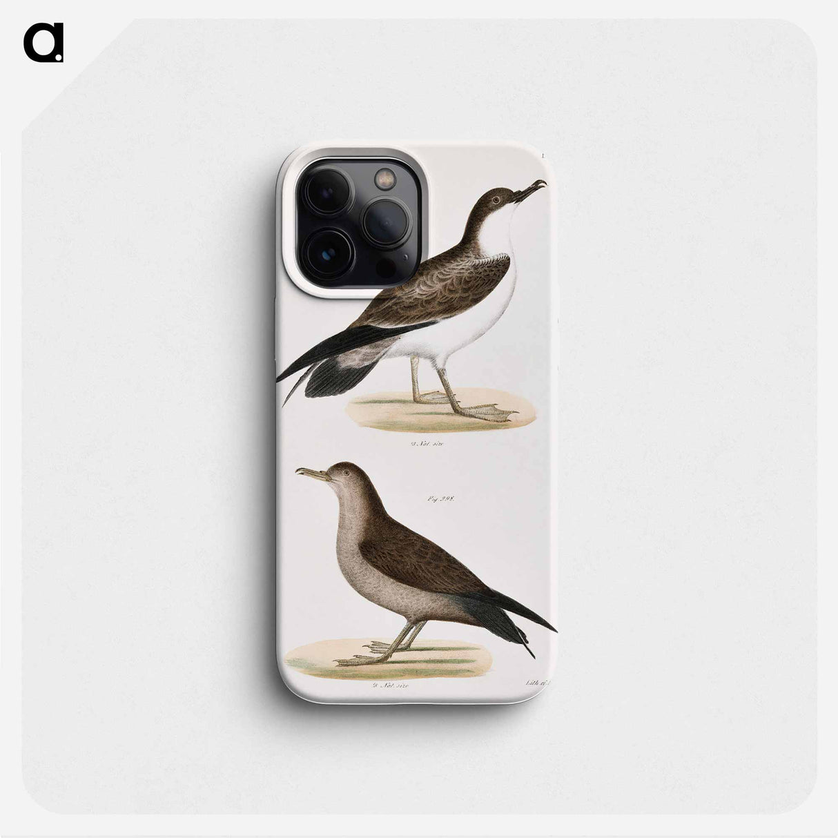 Large Shearwater, young - New York Zoology Phone Case.