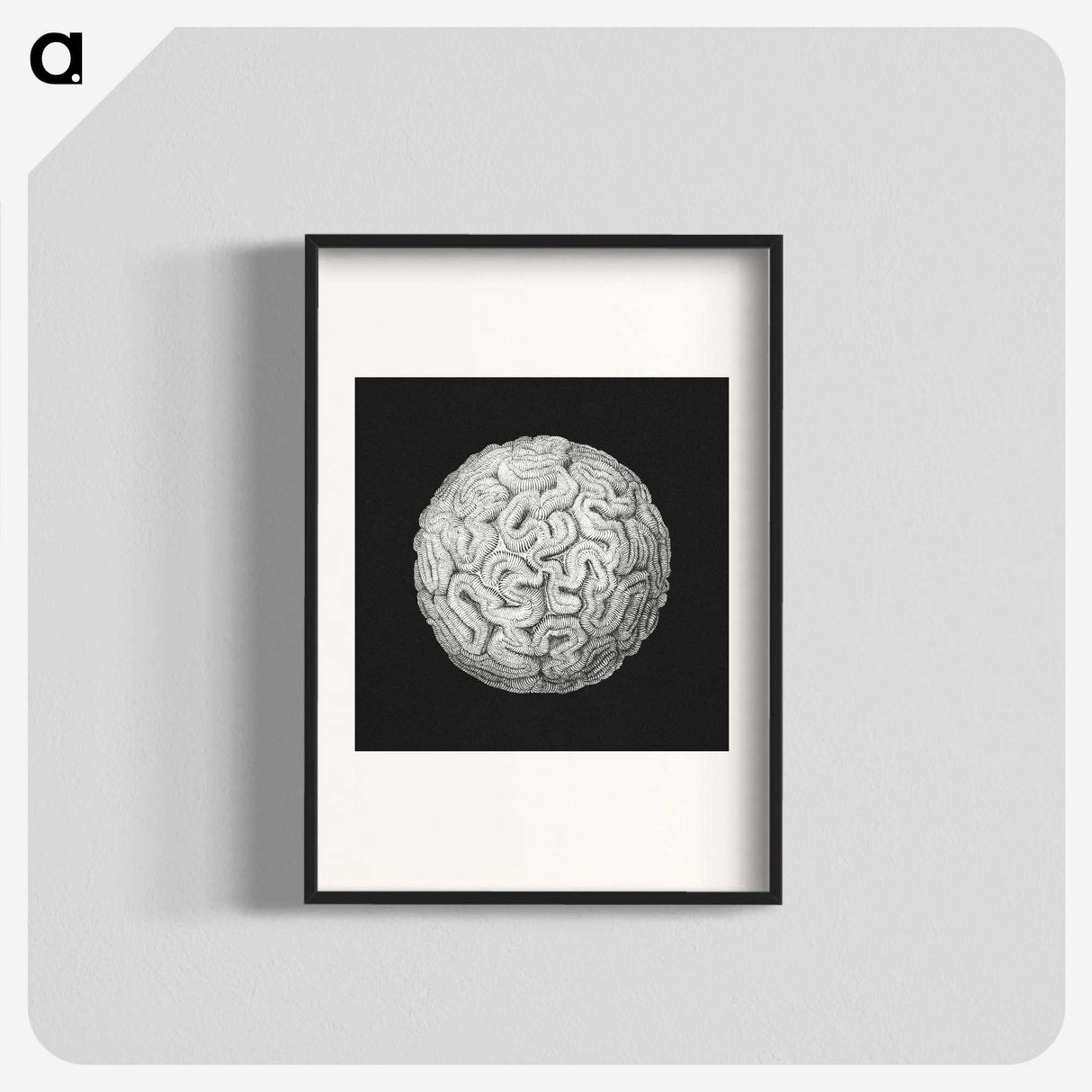 2-92_Ernst-Haeckel_blk