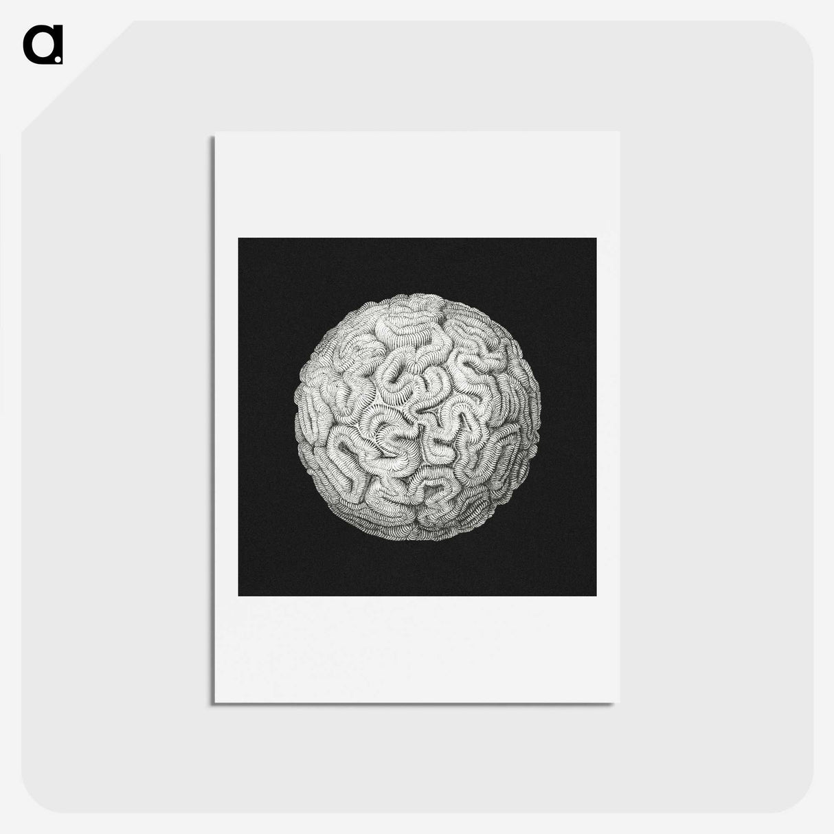 2-92_Ernst-Haeckel_hagaki