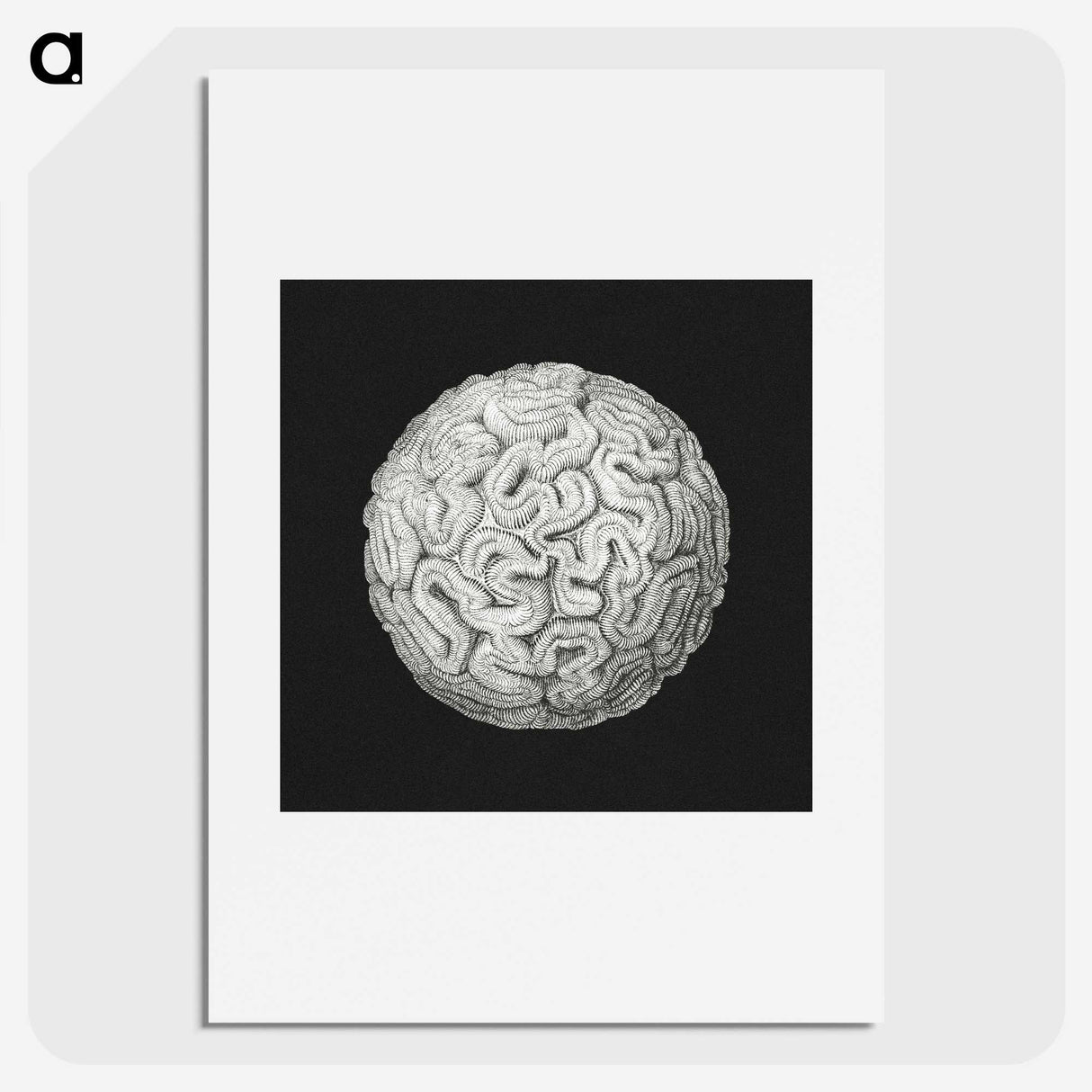 2-92_Ernst-Haeckel_picture