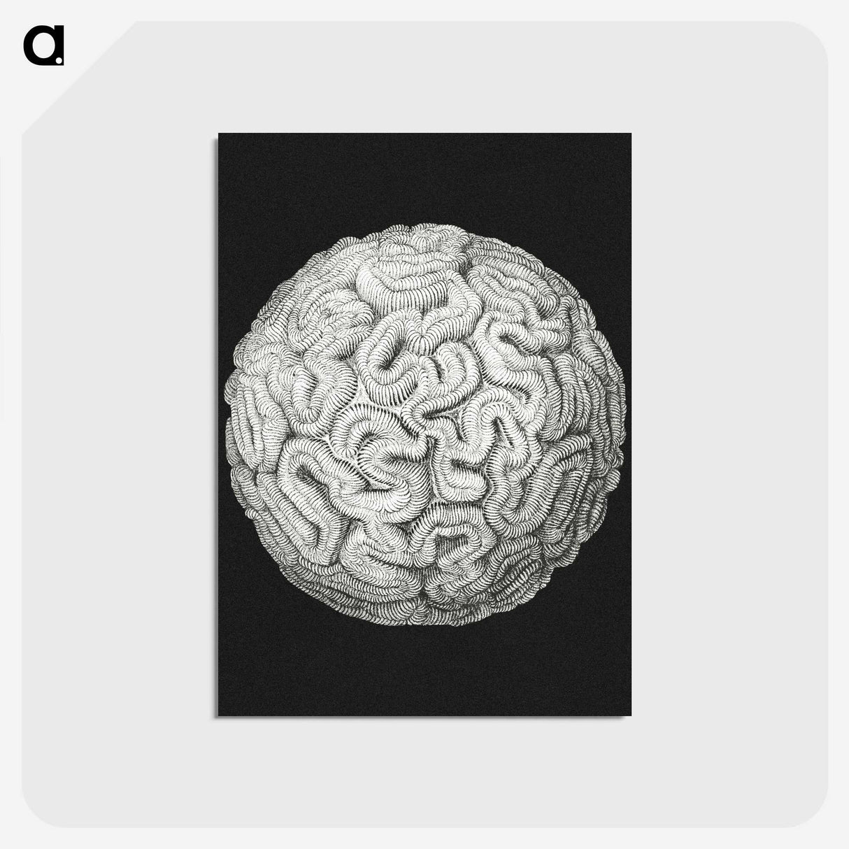 2-92_Ernst-Haeckel_postcard