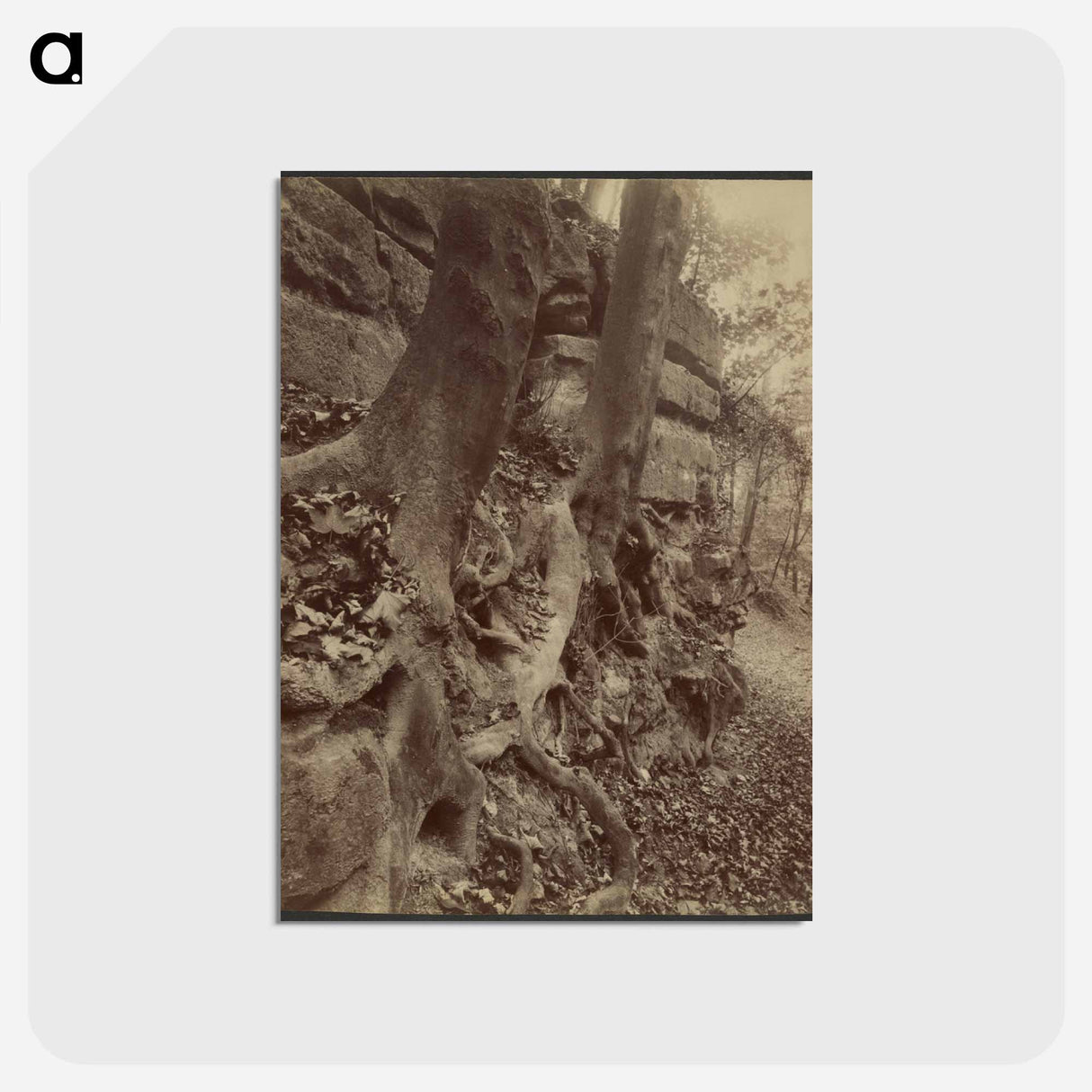 アートポストカード-Parc de Saint-Cloud
- ウジェーヌ アジェ Postcard.