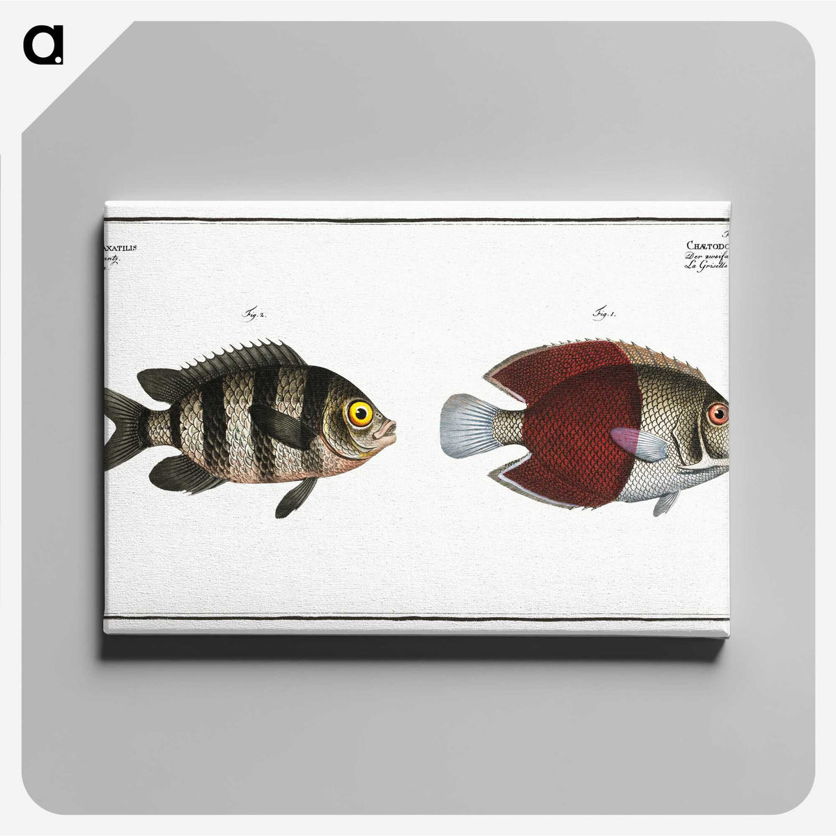 2-92_Ichtyologie-ou-Histoire-naturelle_canvas