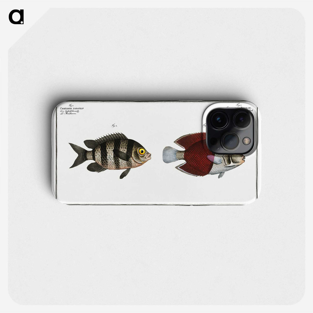 2-92_Ichtyologie-ou-Histoire-naturelle_phone