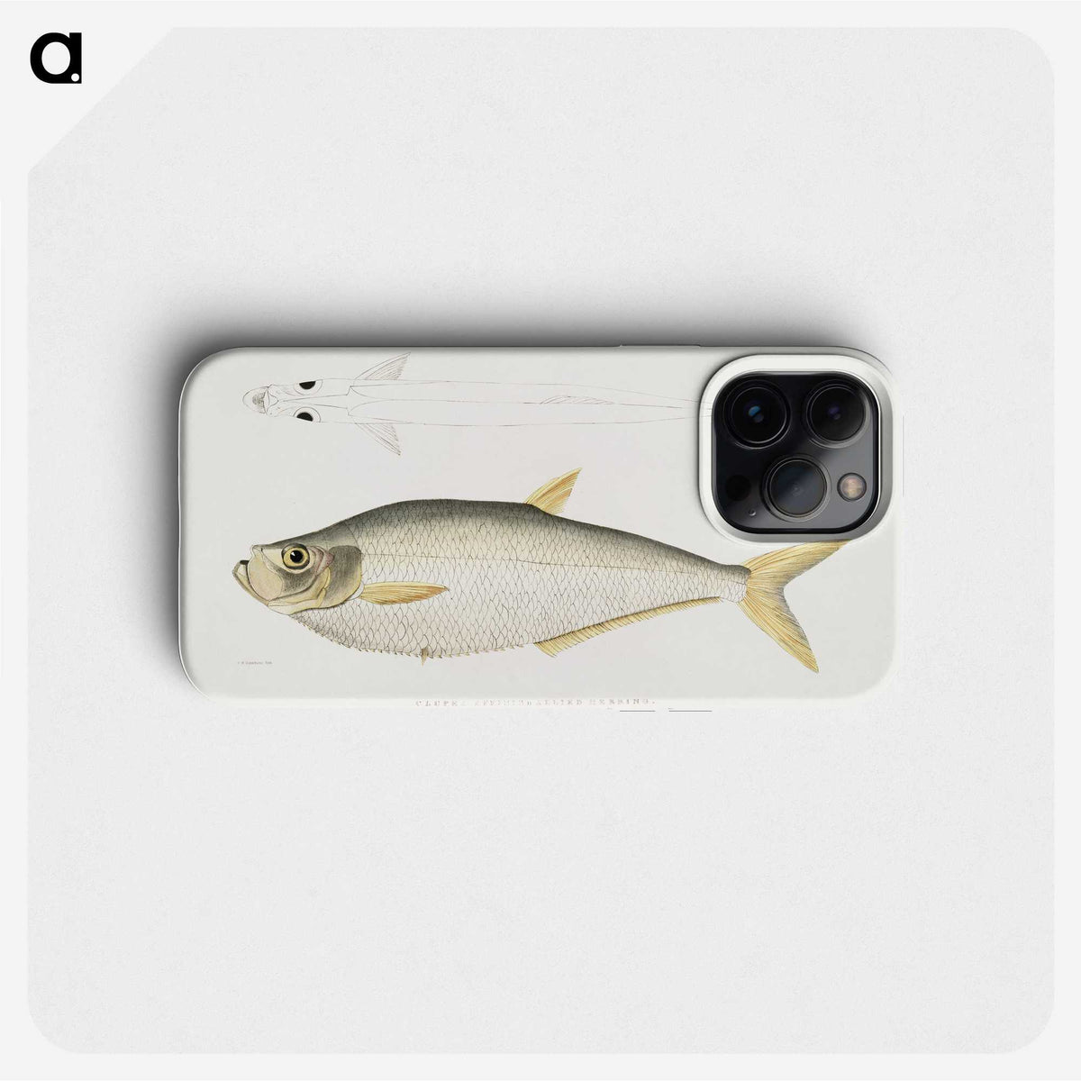 2-92_Indian-Zoology_phone
