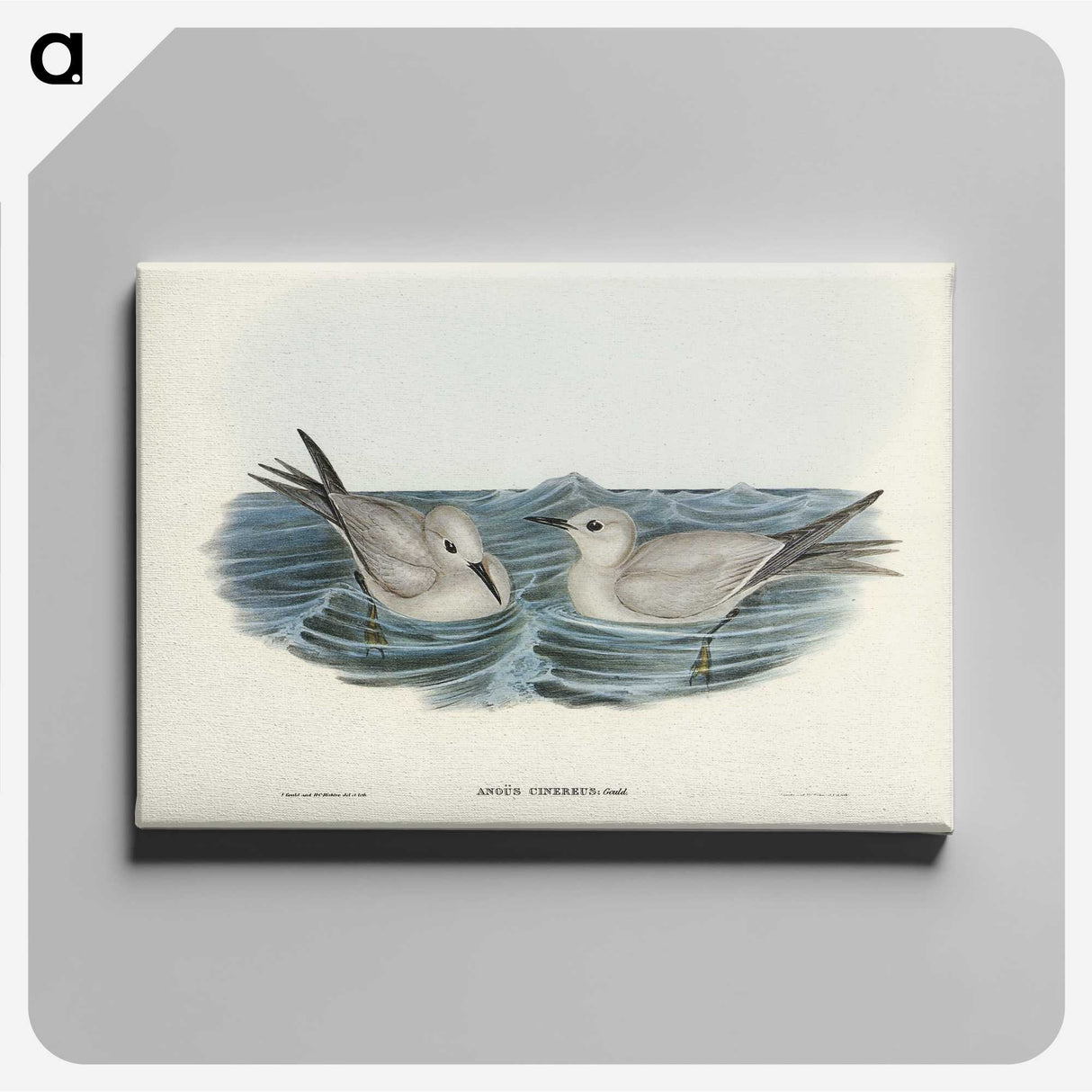 2-92_John-Gould_canvas