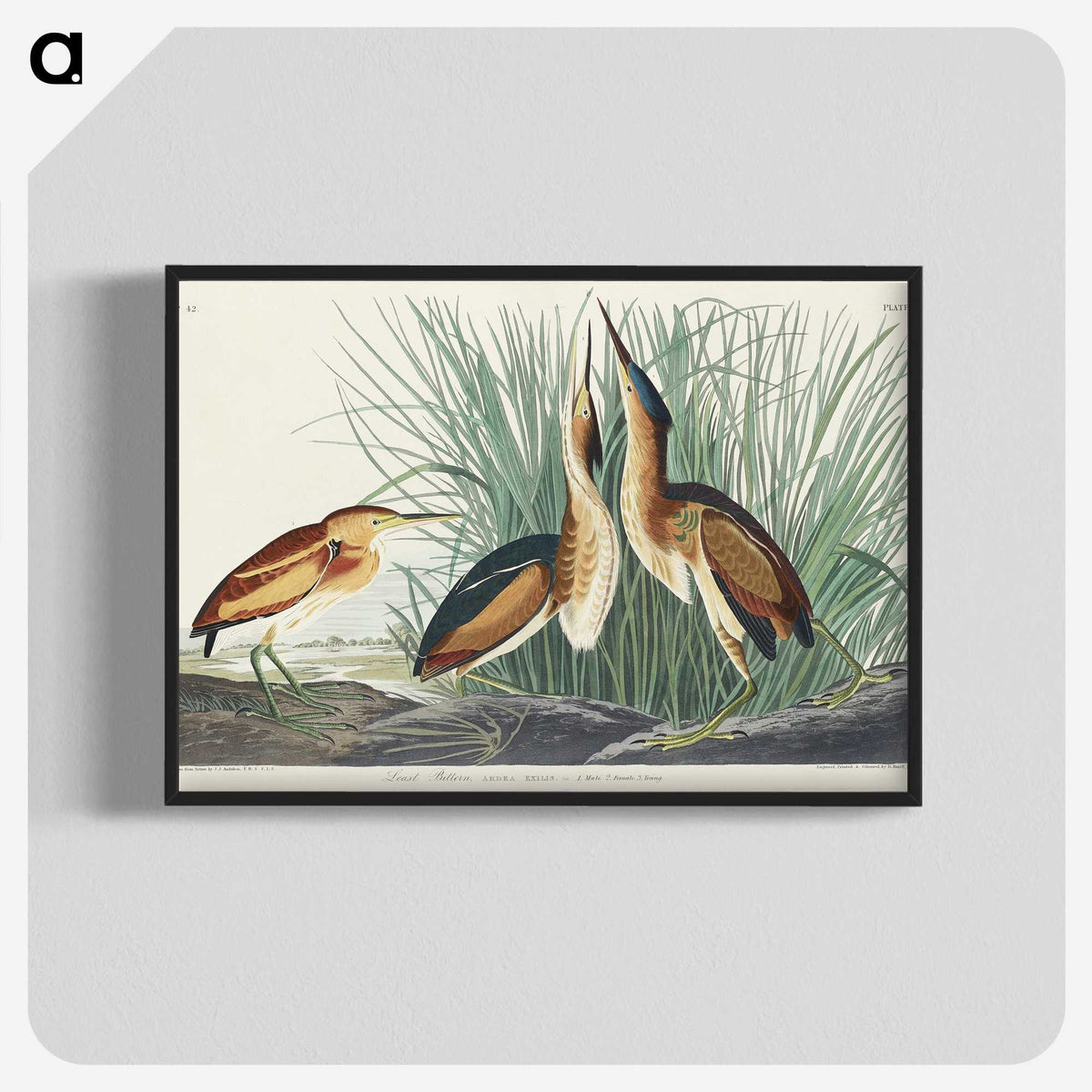 2-92_John-James-Audubon_blk-crop