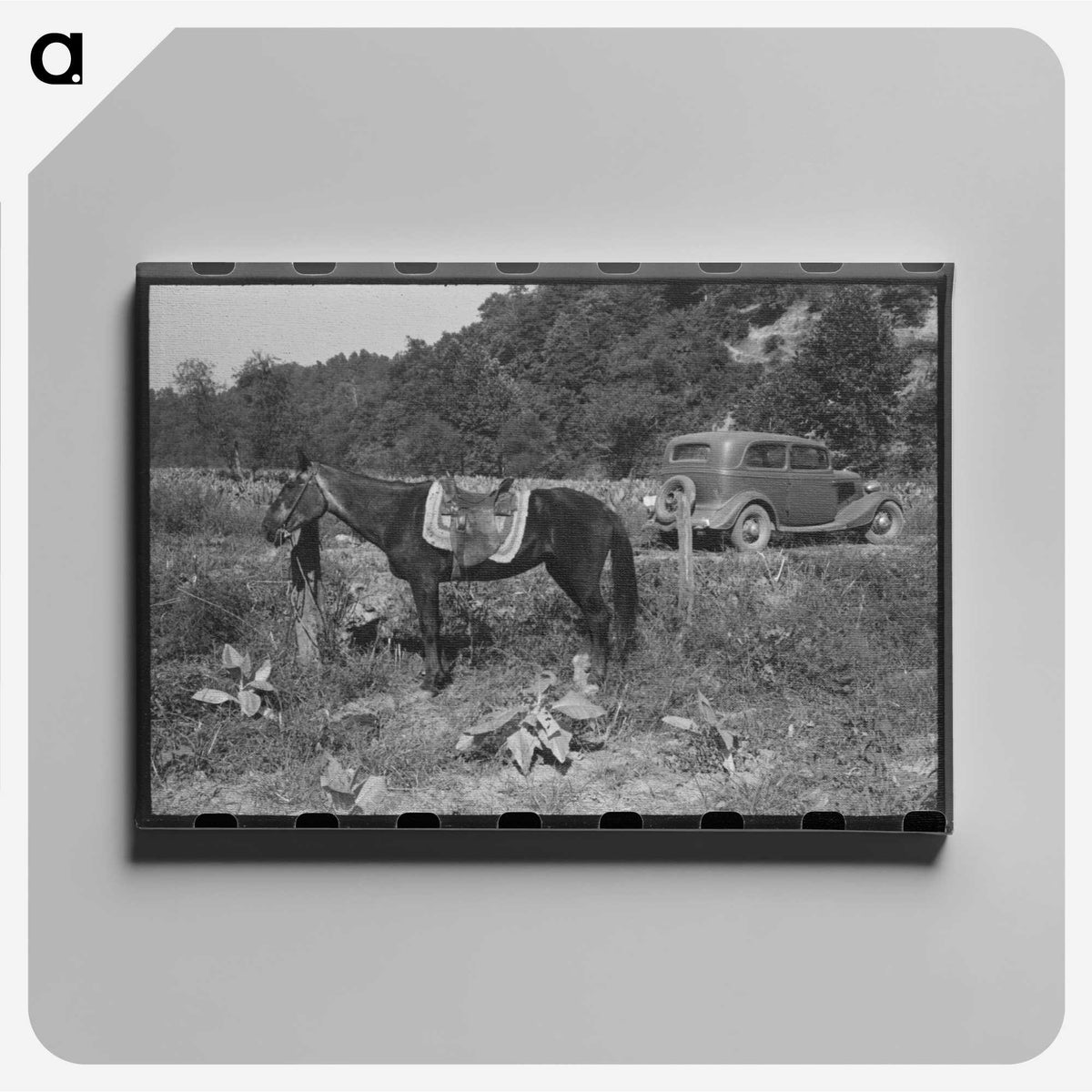 2-92_Marion-Post-Wolcott_canvas