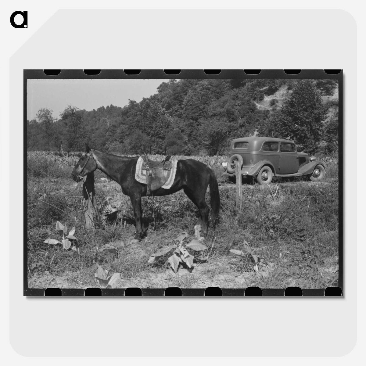 2-92_Marion-Post-Wolcott_picture-crop