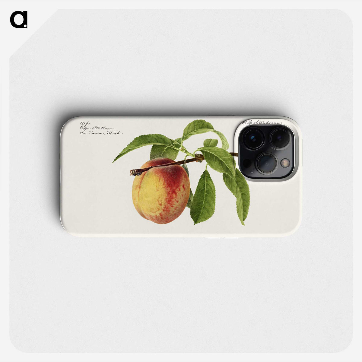 2-92_USDA-Watercolor-Fruit-Painting-Collection_phone