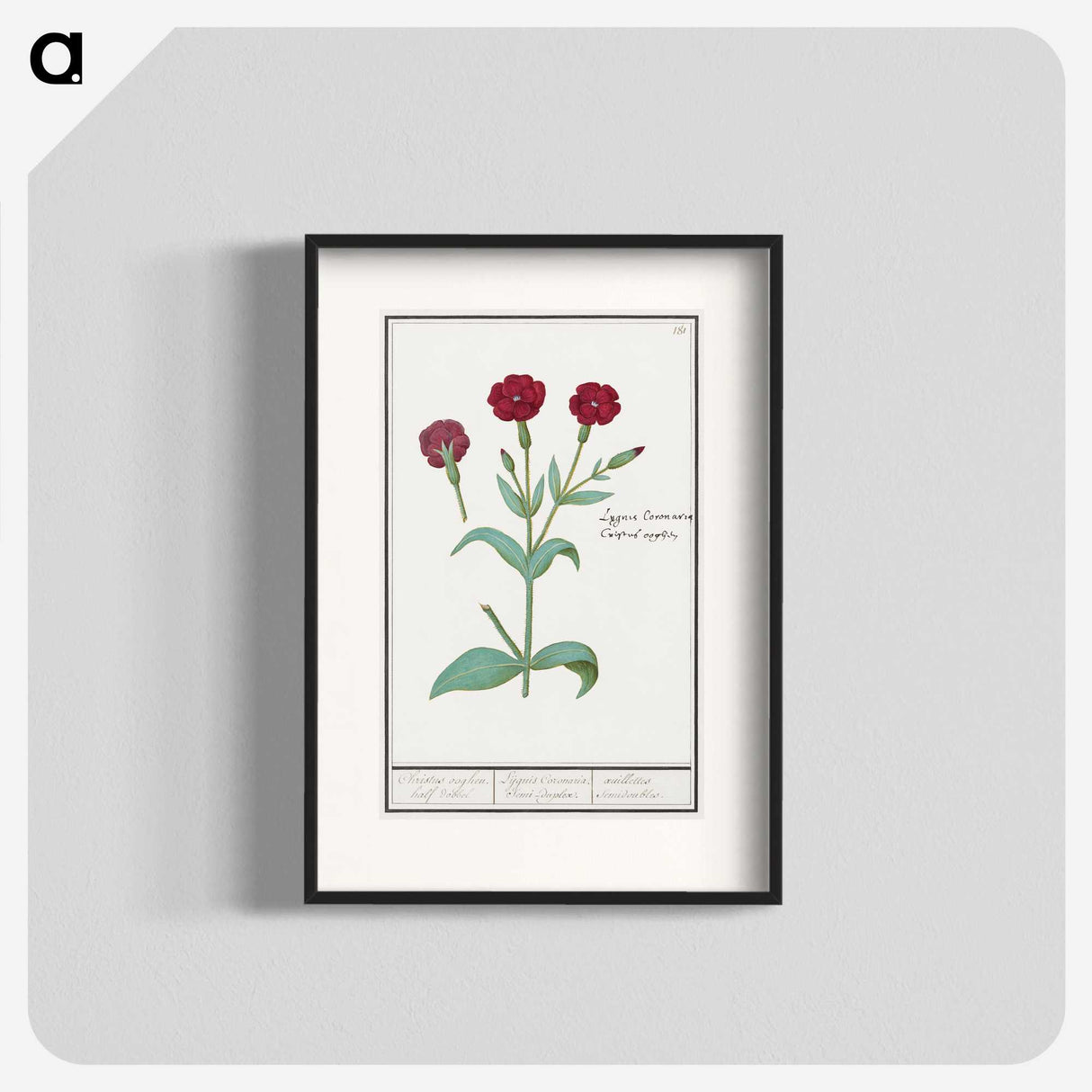 2-93_Anselmus-Boetius-de-Boodt_blk