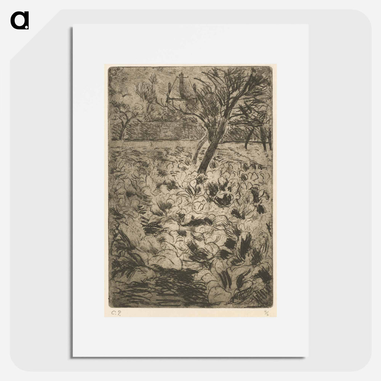 The Cabbage Field - カミーユ ピサロ Poster.