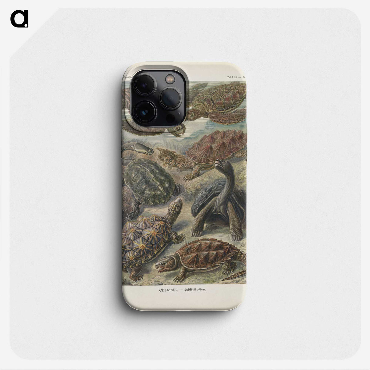 2-93_Ernst-Haeckel_phone