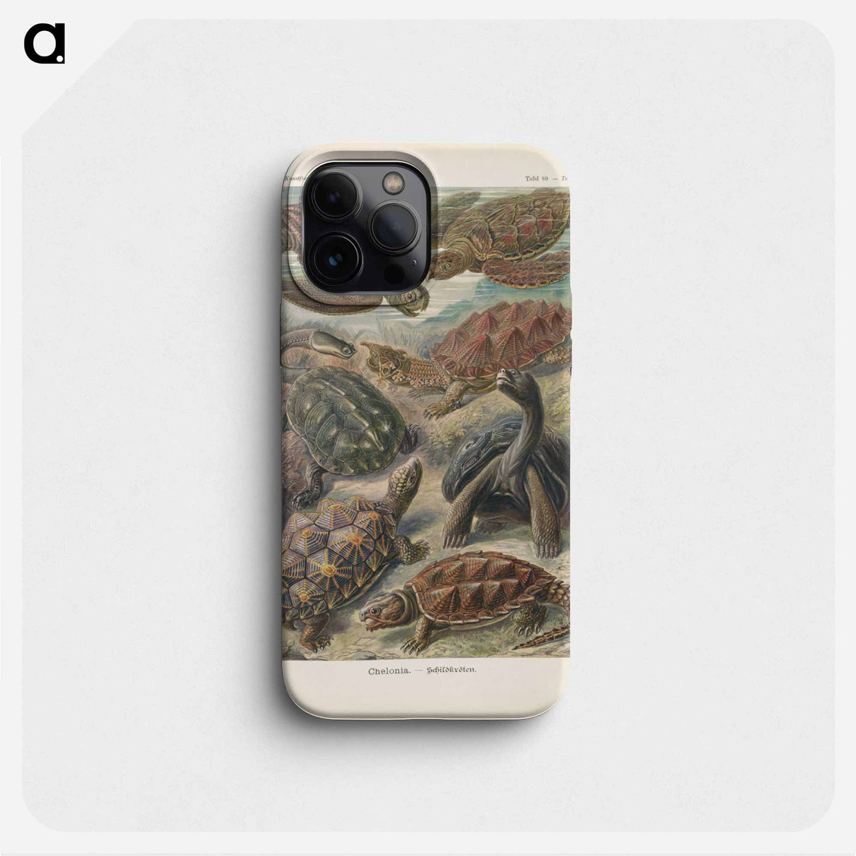 Turtles illustration from Kunstformen der Natur - エルンスト ヘッケル Phone Case.