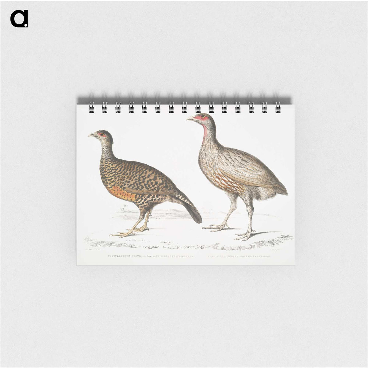 2-93_Indian-Zoology_memo