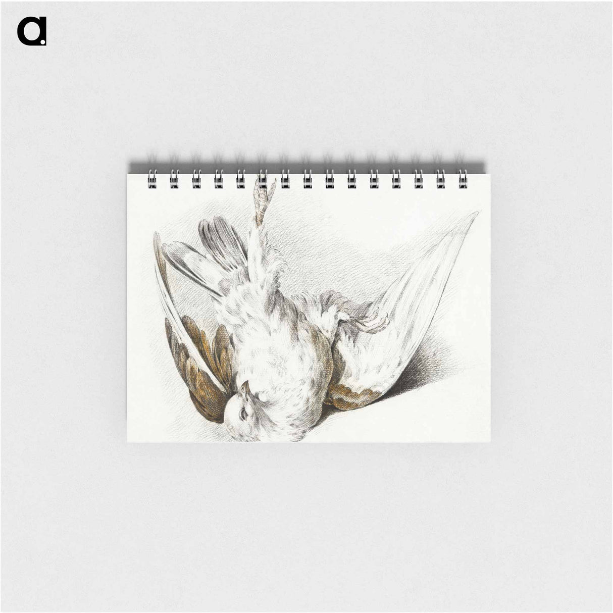 Dead pigeon - ジャン ベルナール Memo.