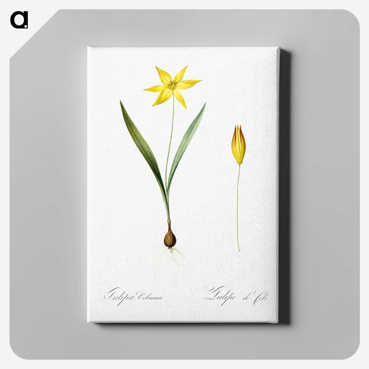 2-93_The-Lilies_canvas