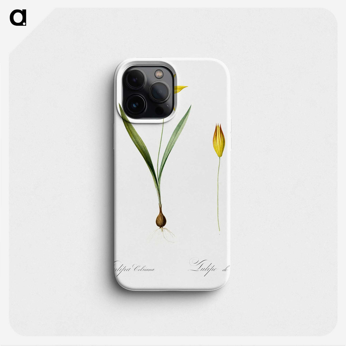 2-93_The-Lilies_phone