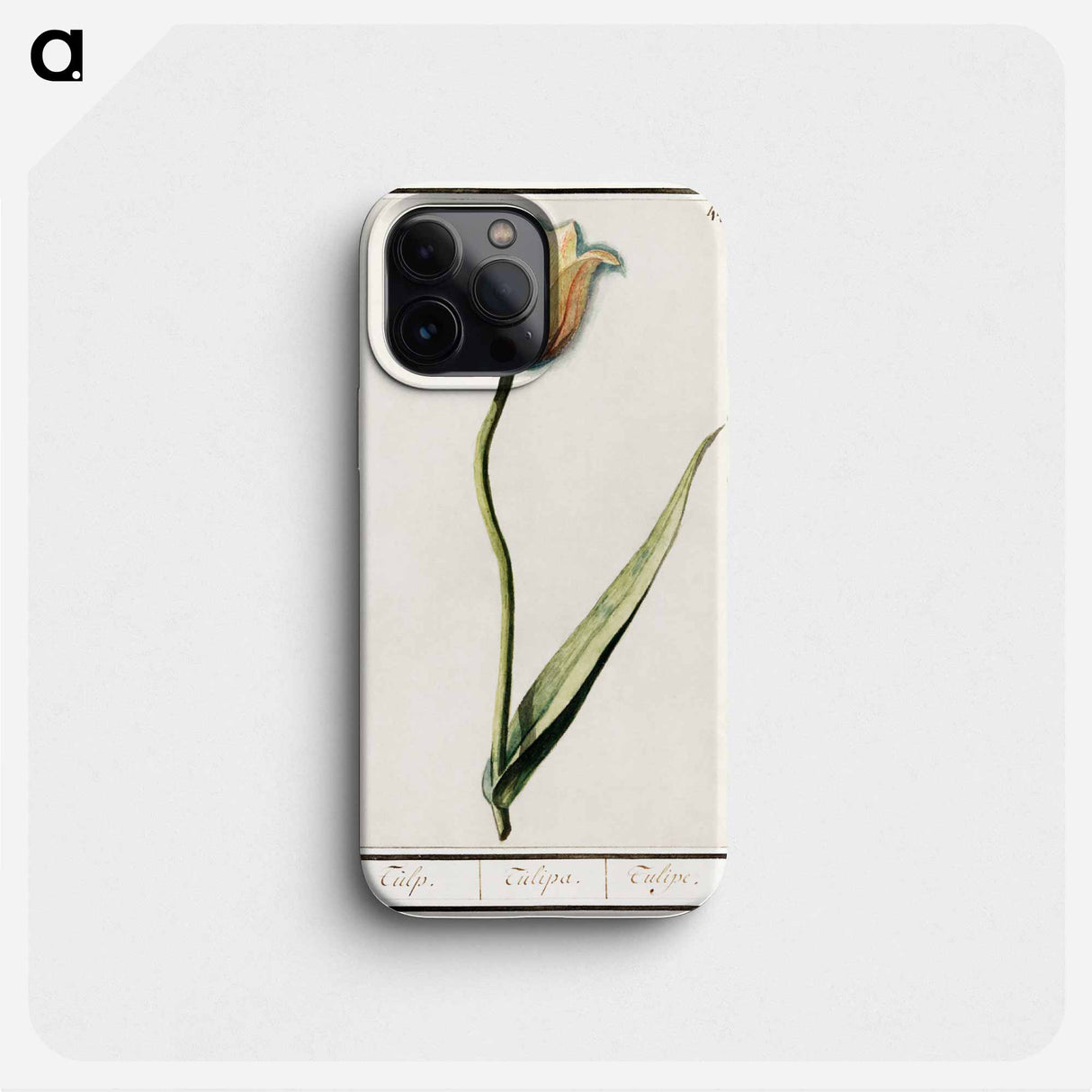 Tulip - アンセルムス ボエティウス デ ブート Phone Case.
