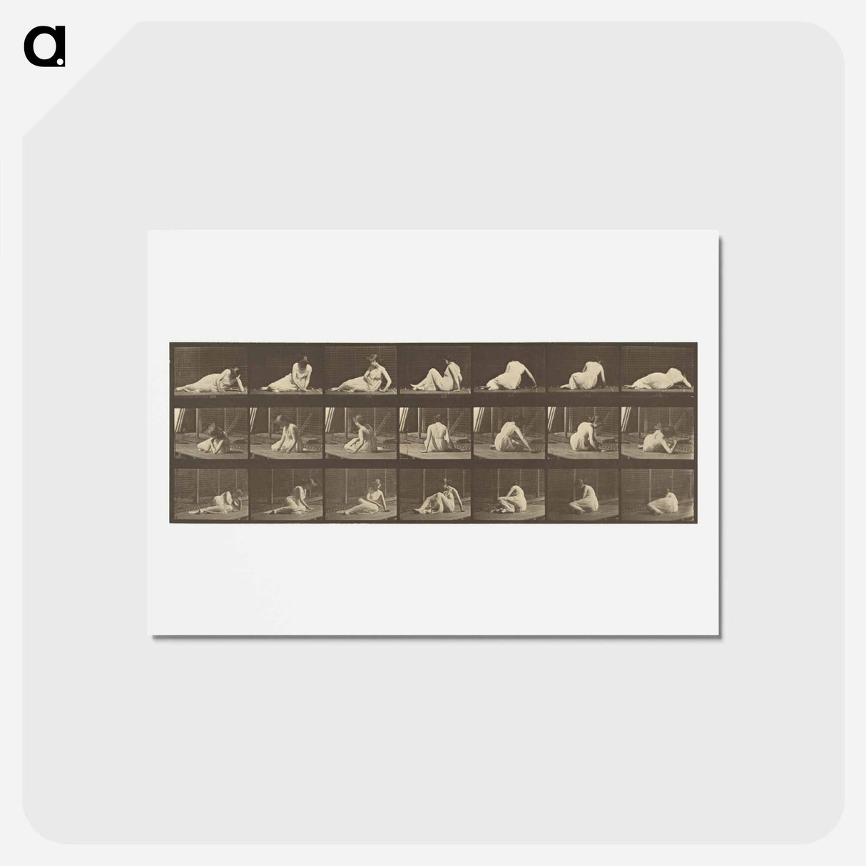 アートポストカード-Animal Locomotion
- エドワード マイブリッジ Postcard.