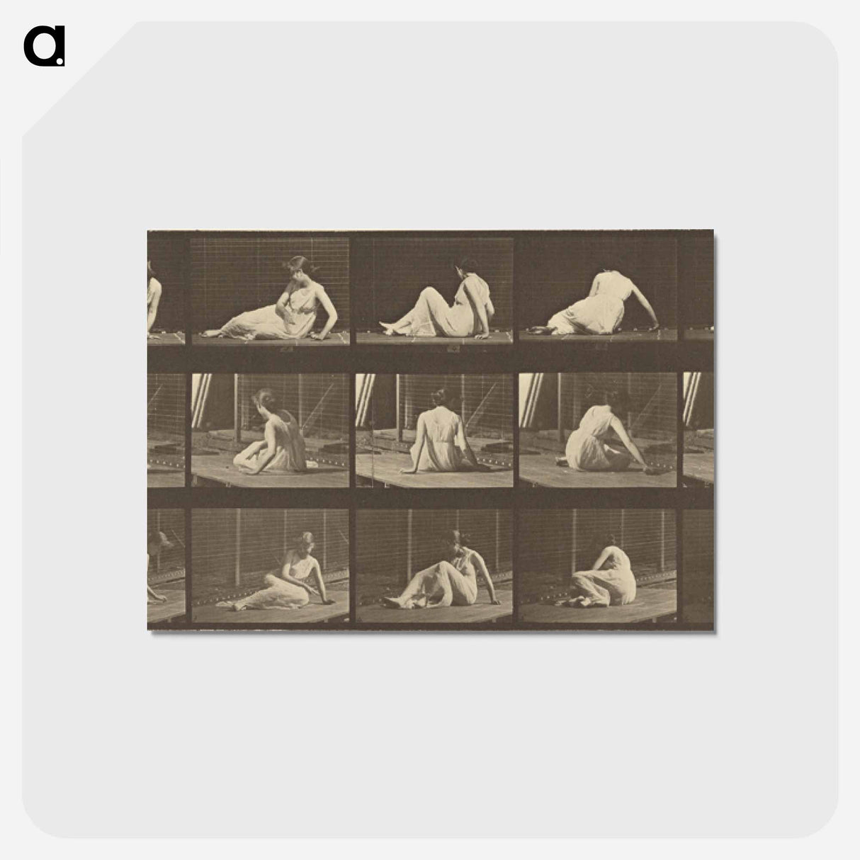アートポストカード-Animal Locomotion
- エドワード マイブリッジ Postcard.