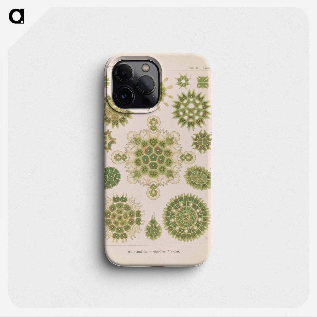 Marine life illustration - エルンスト ヘッケル Phone Case.