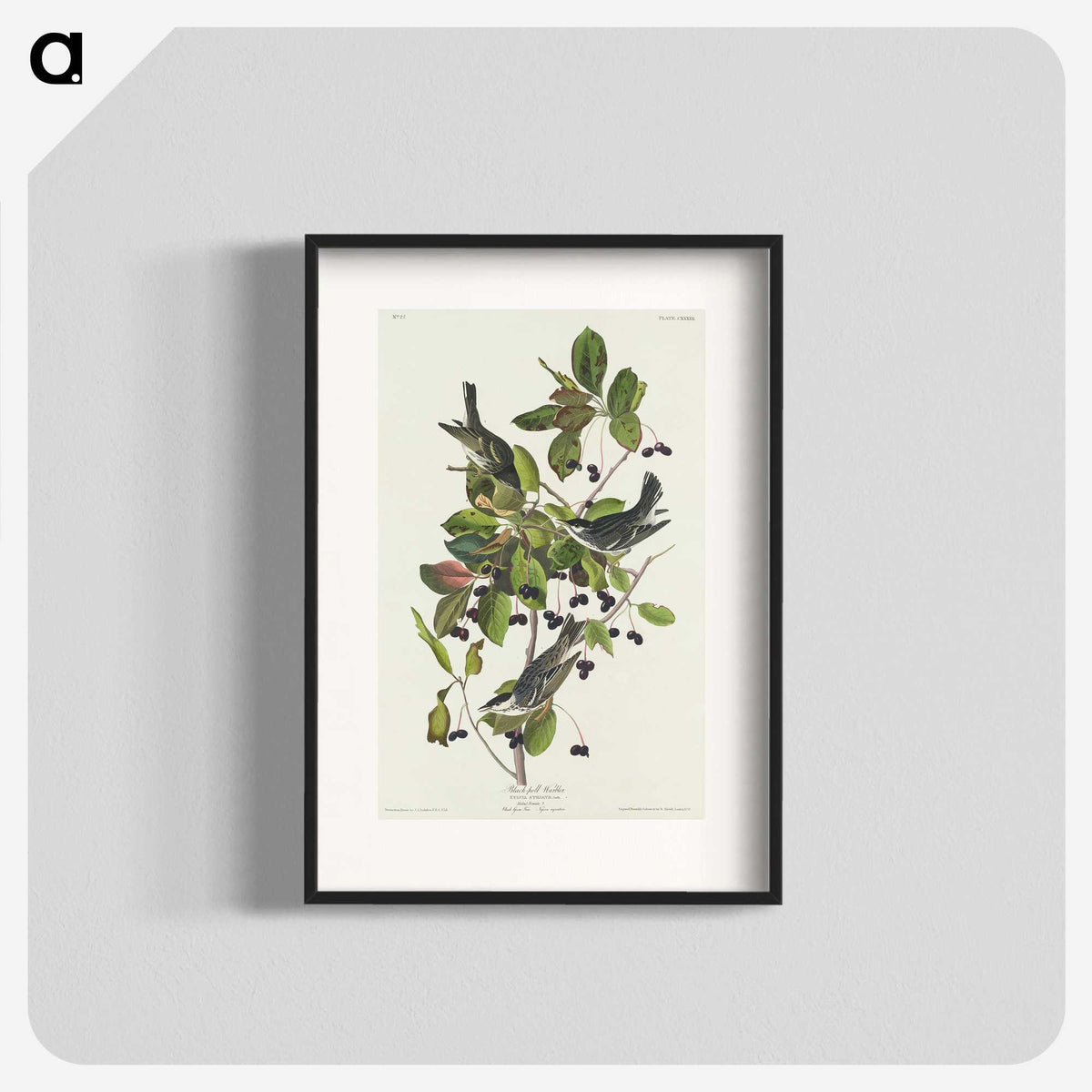 2-94_John-James-Audubon_blk