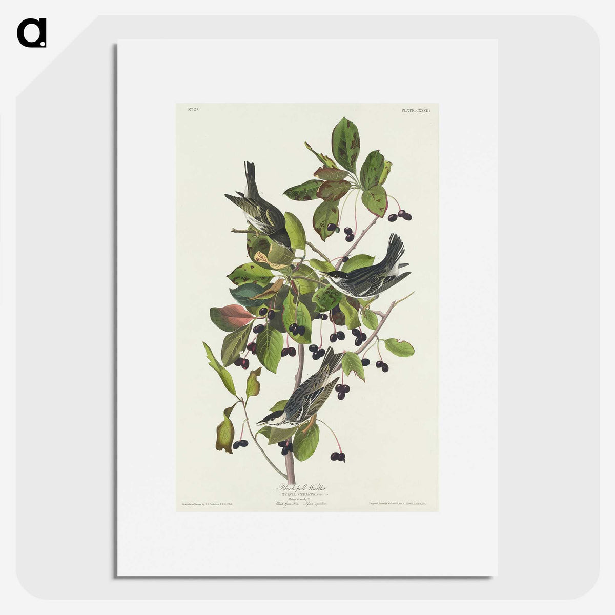 2-94_John-James-Audubon_picture