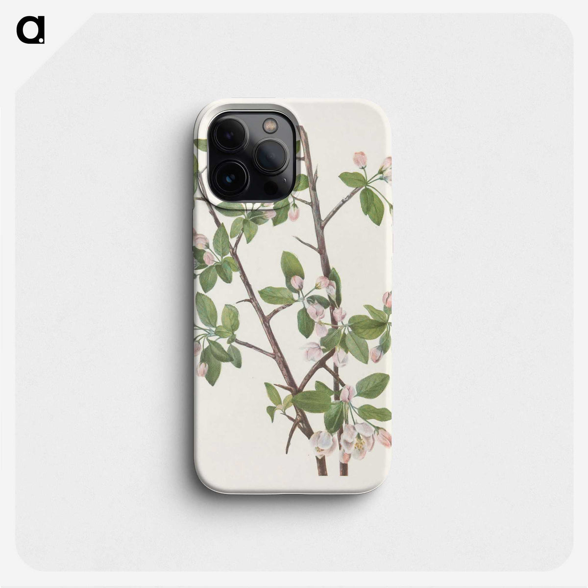 2-94_Mary-Vaux-Walcott_phone