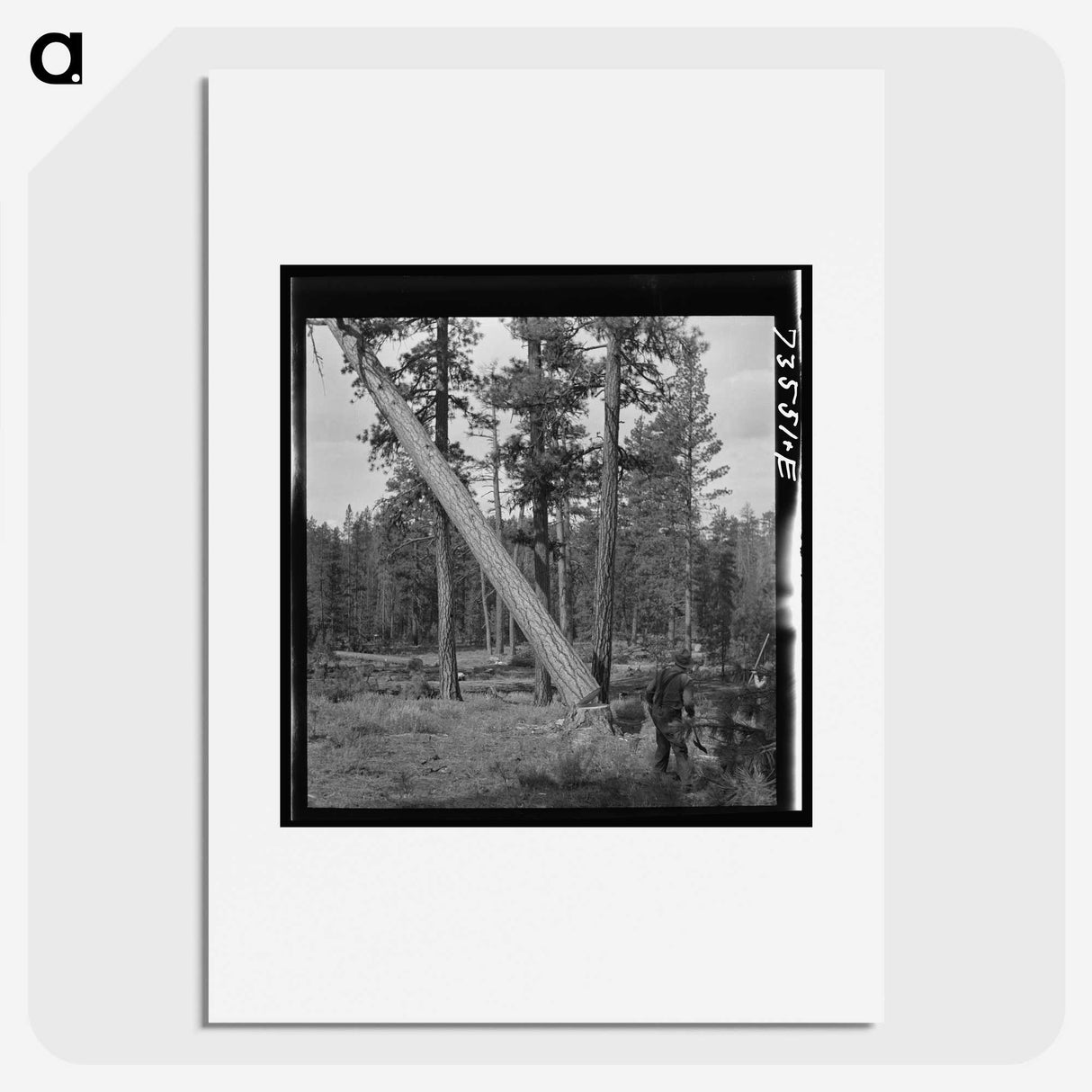 2-94_Russell-Lee_picture