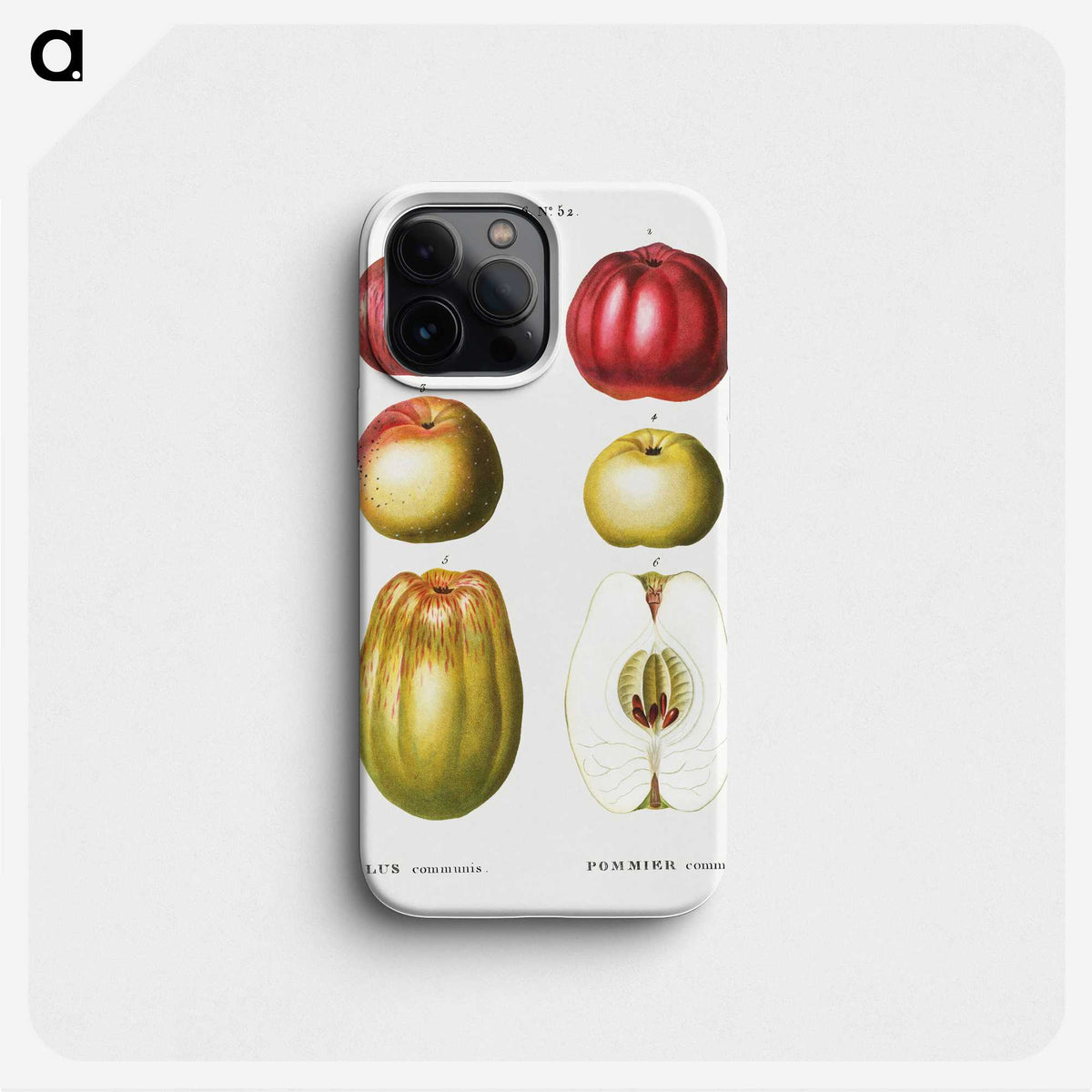 2-94_Treatise-on-Trees-and-Shrubs_phone