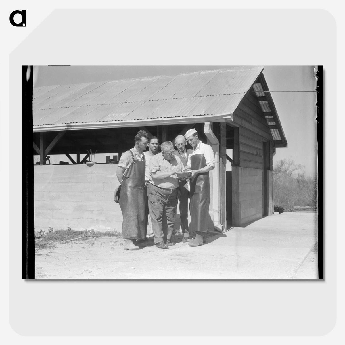 2-95_Dorothea-Lange_picture-crop
