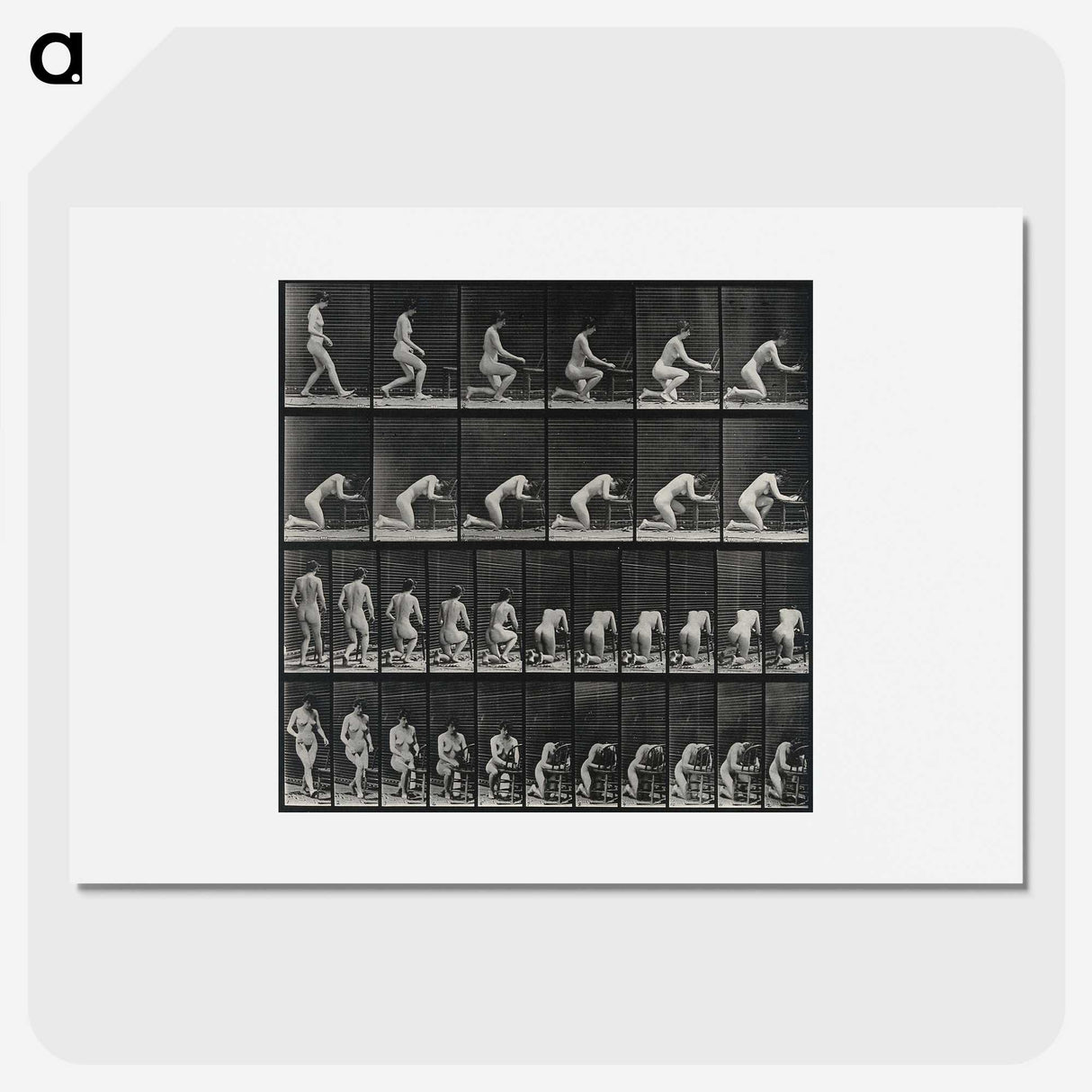 2-95_Eadweard-Muybridge_picture