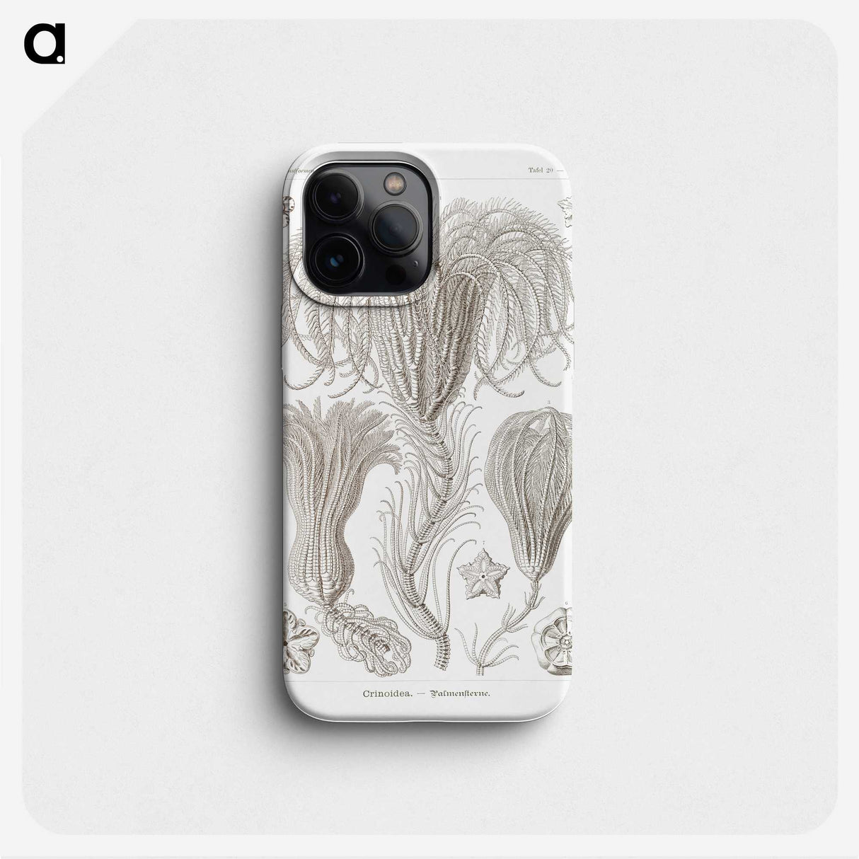2-95_Ernst-Haeckel_phone