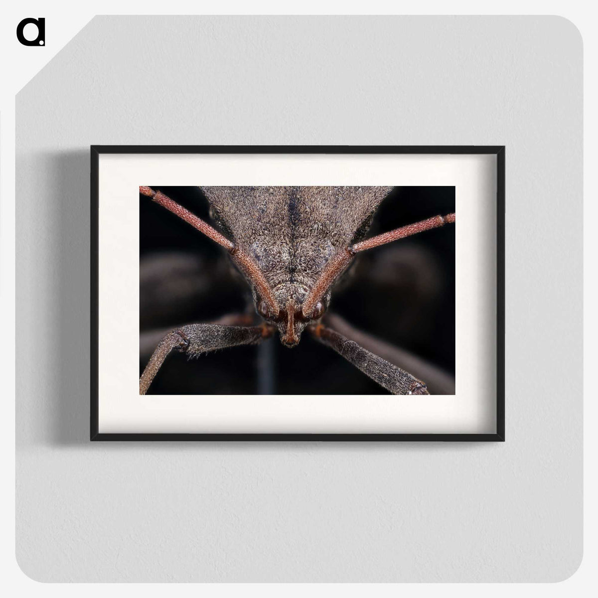 2-95_Insects-Unlocked-Project_blk